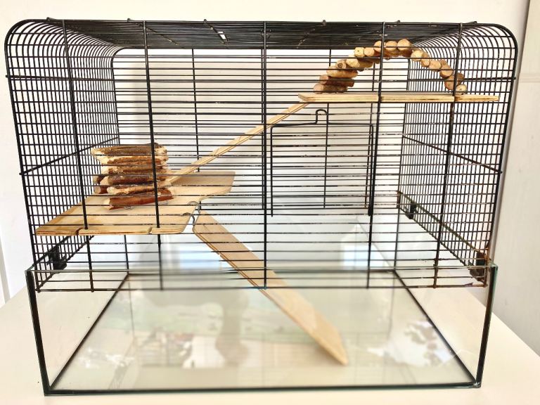 Gerbil/Hamster Cage