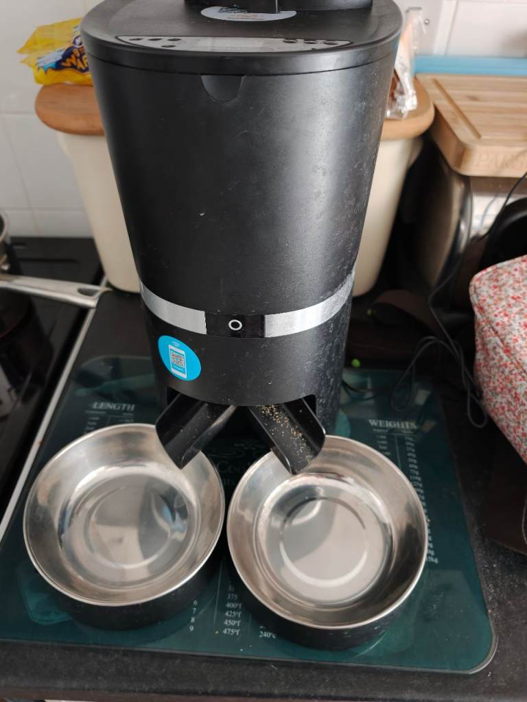 Smart cat feeder 