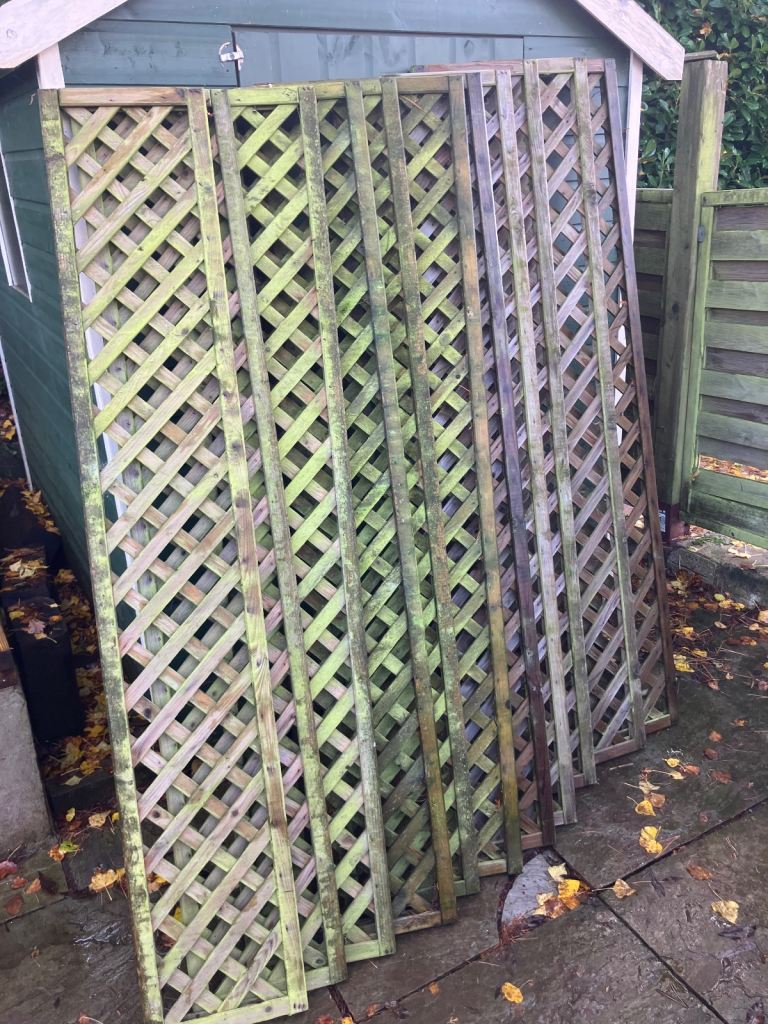 Fence Trellis