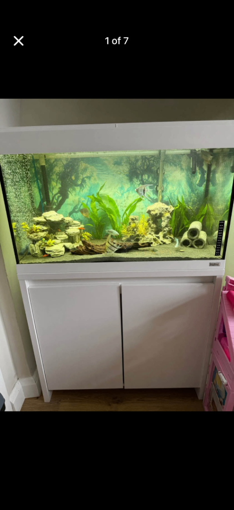Fluval Roma 125L complete set up 