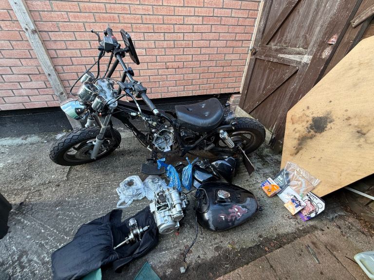 Pioneer, 2015, 124 (cc)