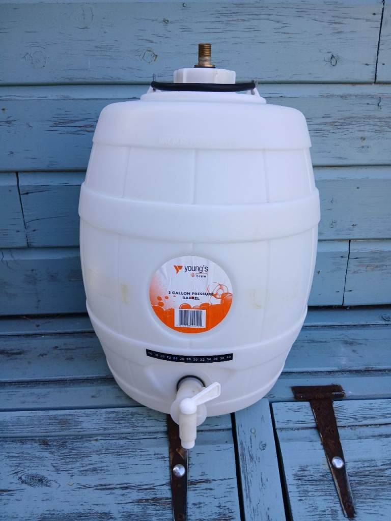 Young's Brew 5 Gallon Pressure Barrel for Home Brewing