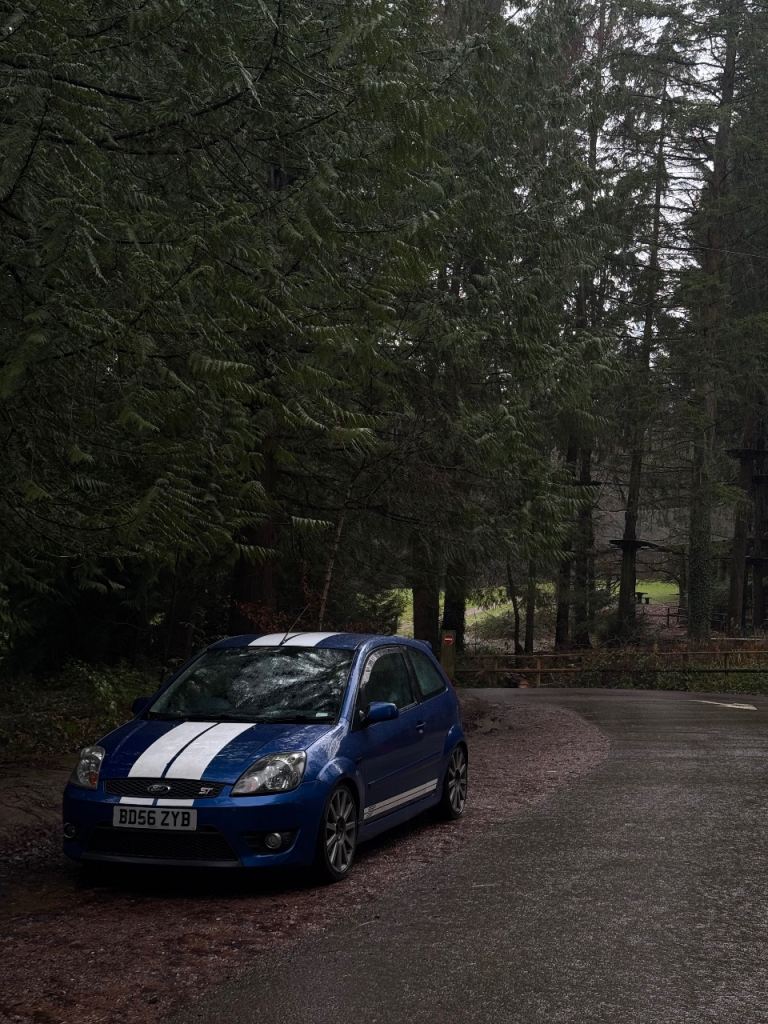 2006 Ford fiesta st150