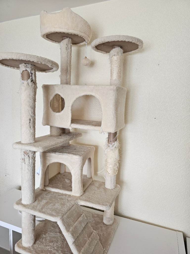 Tall cat tower tree