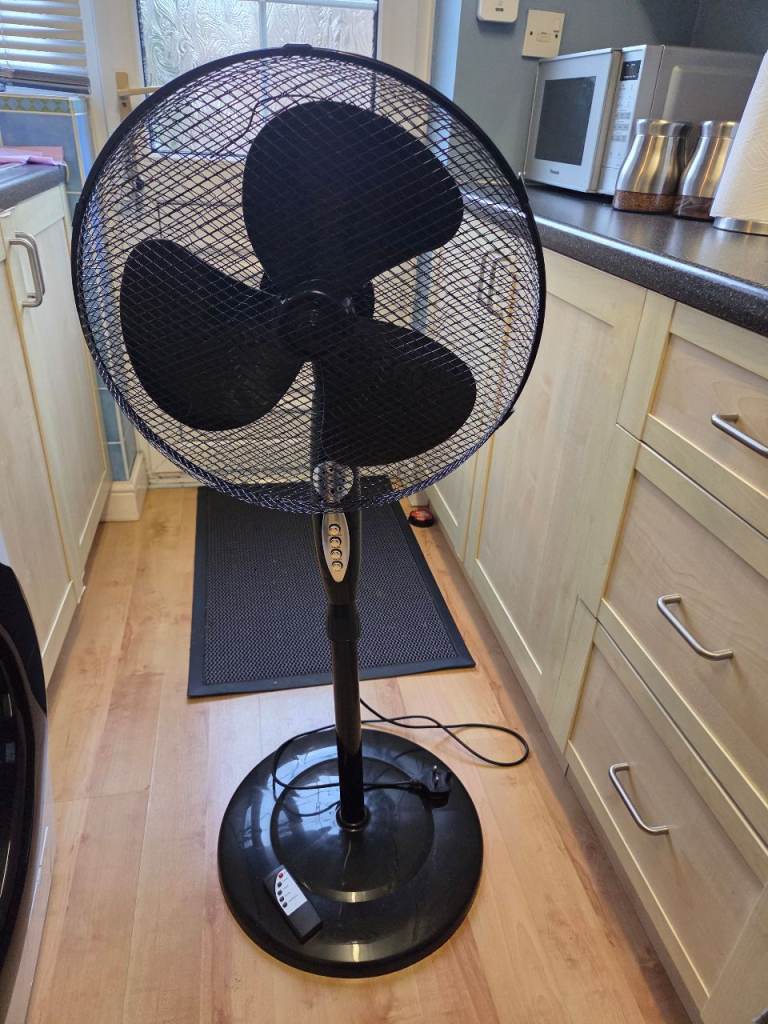 Argos Challenge fan
