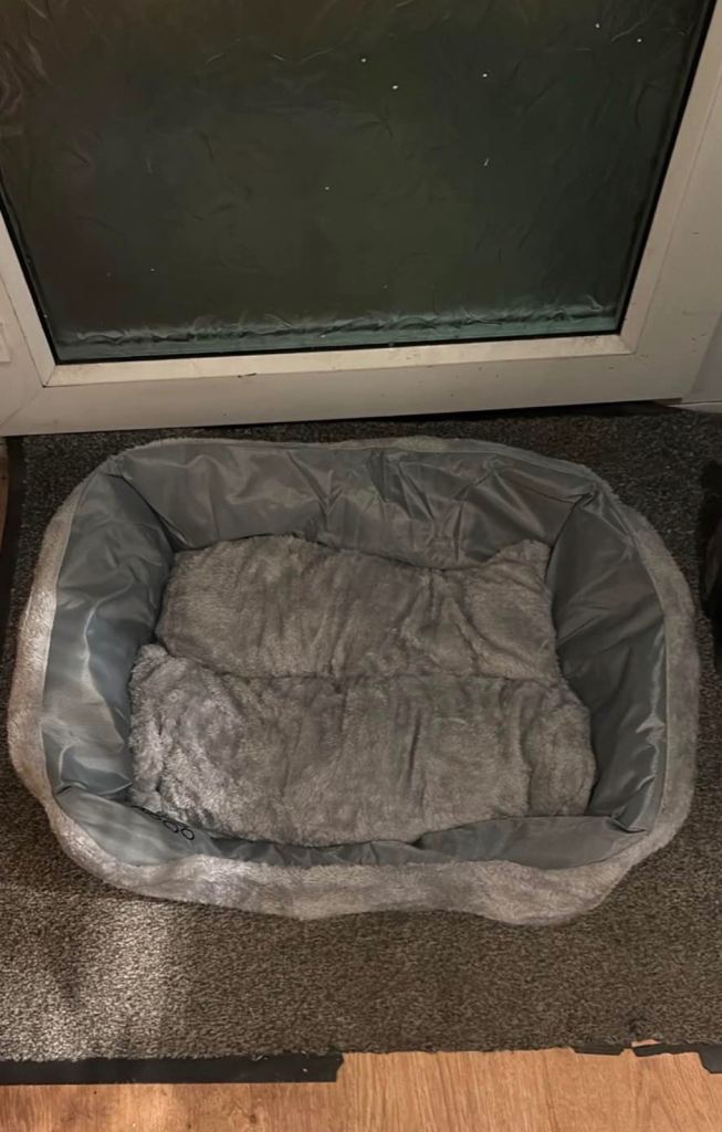 Dog bed