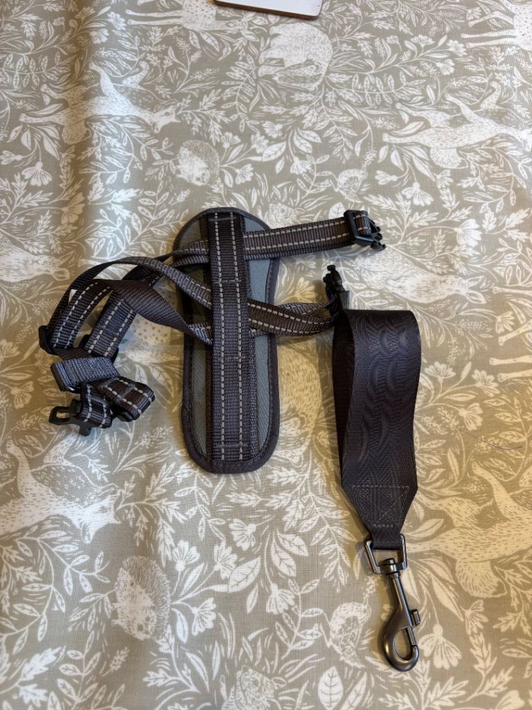 Dog harness for puppy
