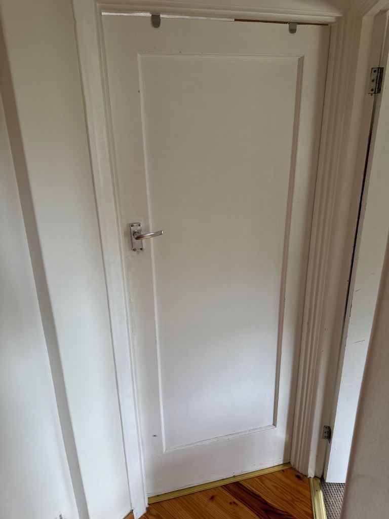 One white painted wooden internal doors with handles