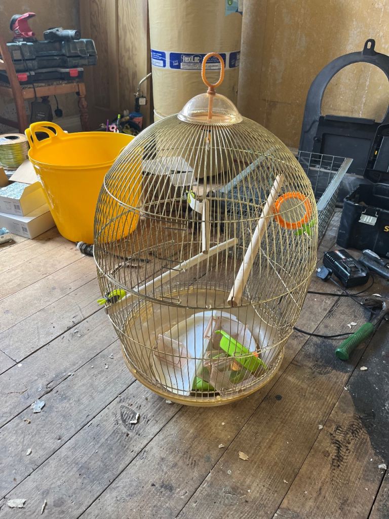 Vintage Style Round Gold Effect Bird Cage - Includes Accessories