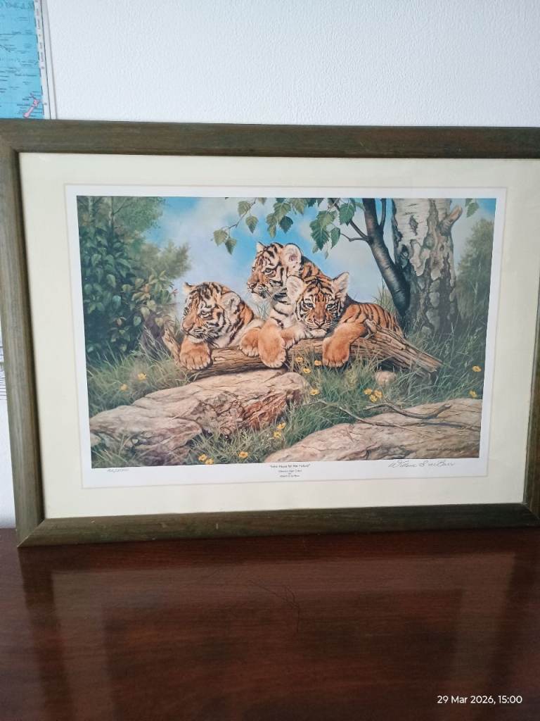 Framed Willem S De Beer Tiger Cubs Print – Lovely Wall Decor