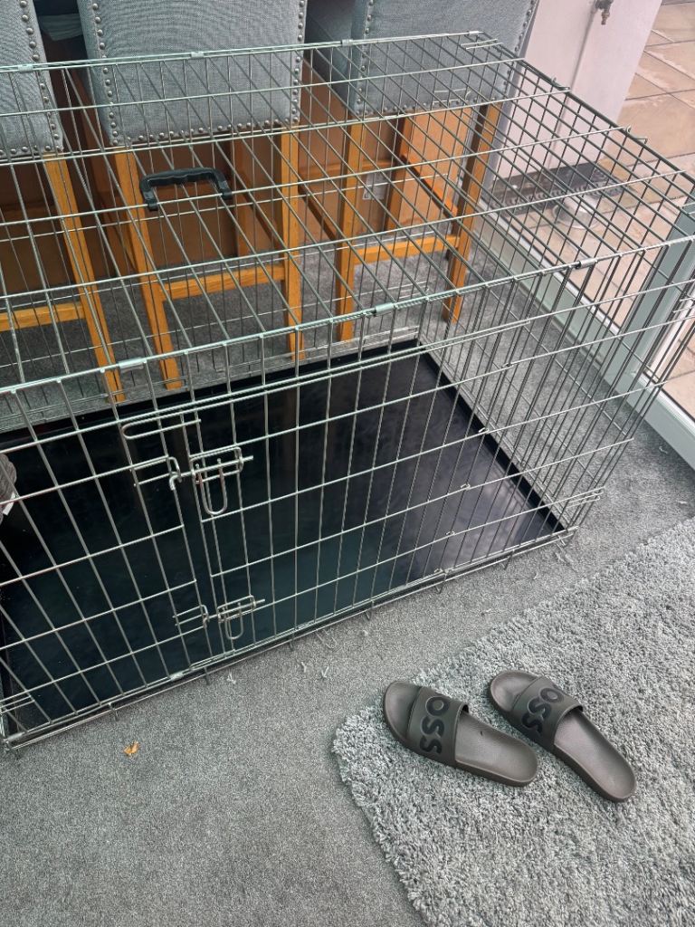 Dog crate 