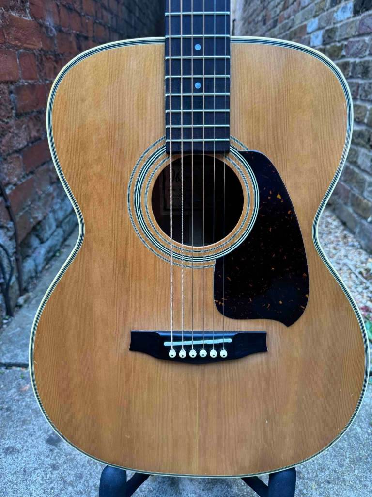 Ibanez V220 Vintage Series (Japan, 1980s) + Schatten HFN passive piezo pickup