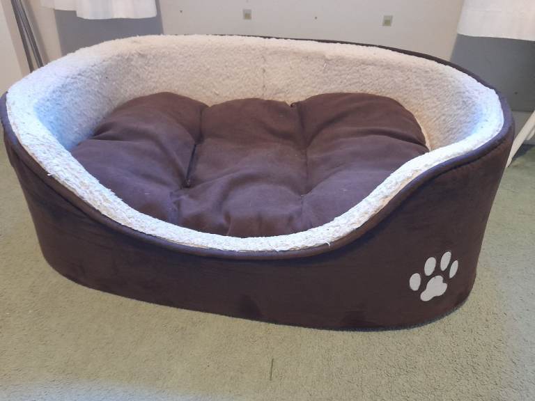 Free dog bed