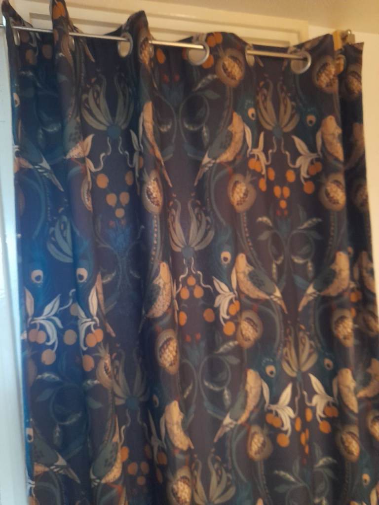 Door curtain with swing arm pole. 