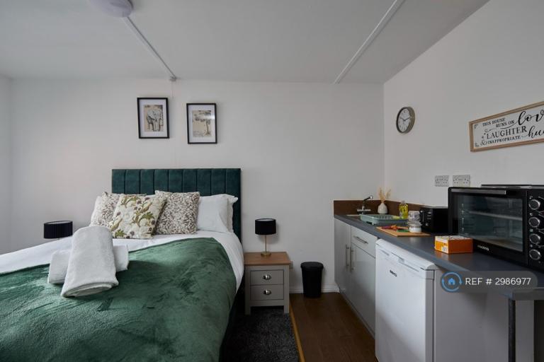 Studio flat in Altofts Lane, Castleford, WF10 (#2986977)