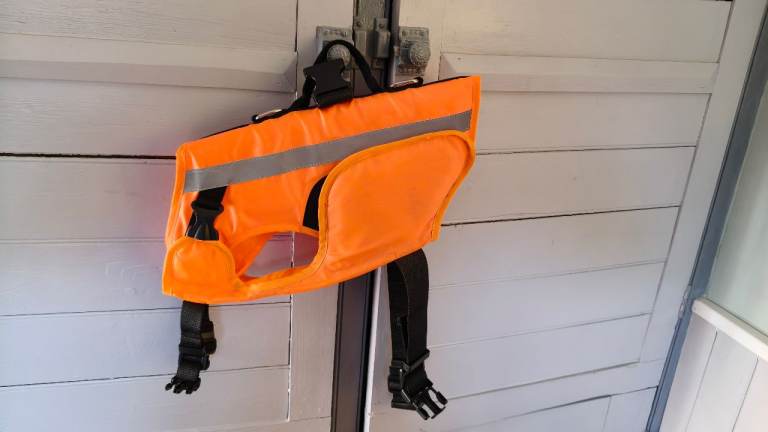 Dog lifejacket medium