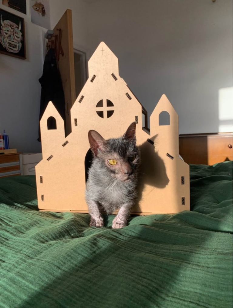 Cat house scratch toy cardboard
