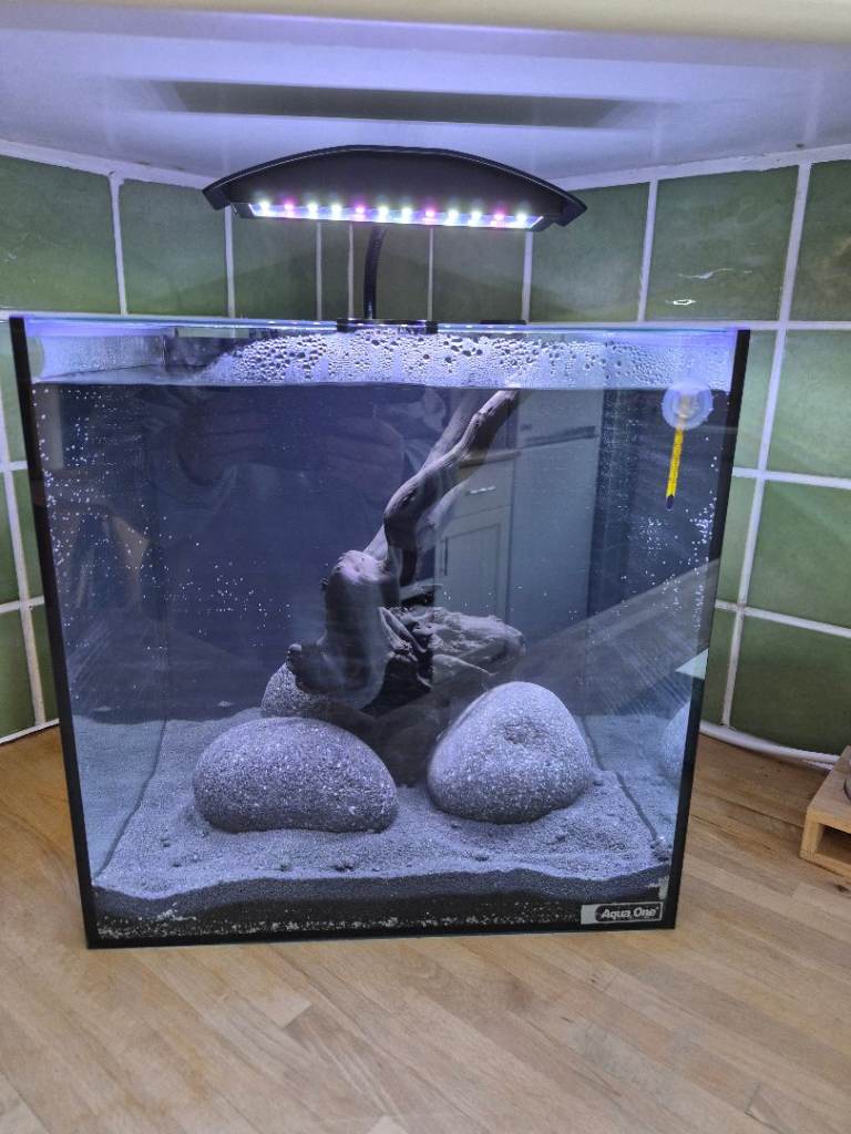 Fish Tank