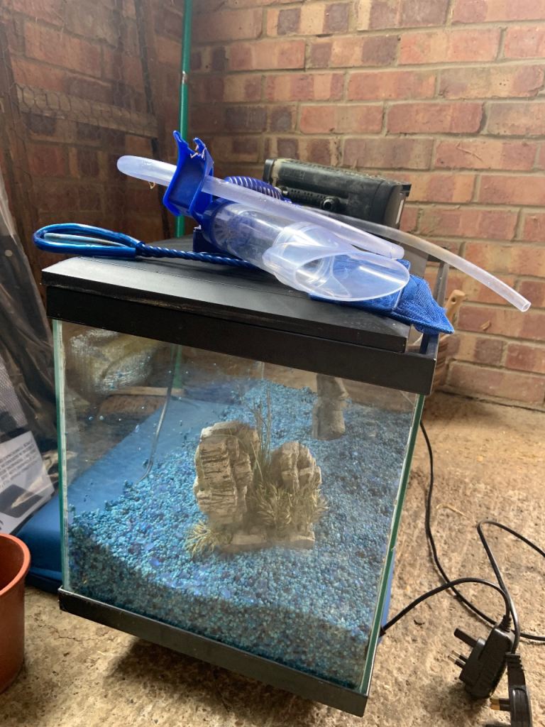 Cold water fish tank 