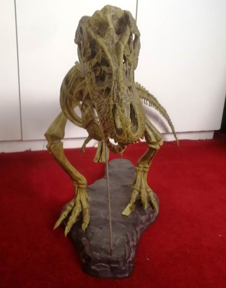 T-REX SKELETON 45"long Dinosaur Model kit 1/10 Scale Building STEM by B.C. Bones