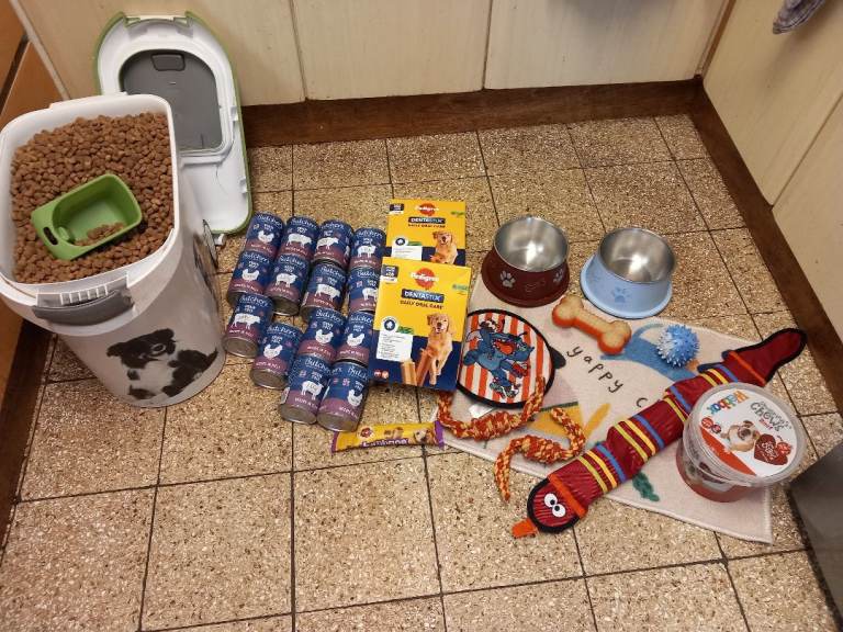 Massive bundle all you need for a dog 