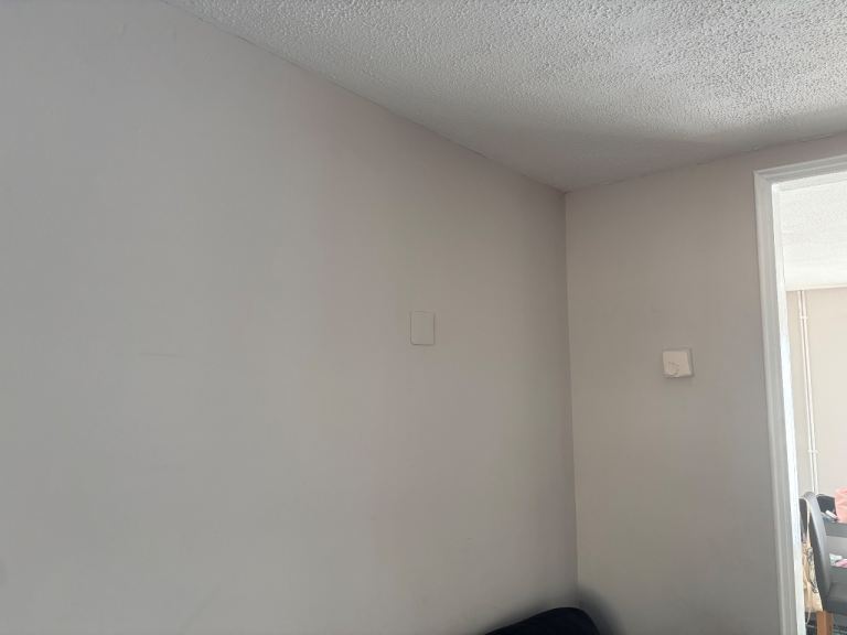     Reliable Local Handyman – Painting, Decorating & Driveway Cleaning