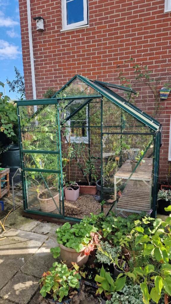 6ft x 4ft Green Aluminium Greenhouse with Staging Shelving & Auto Vent