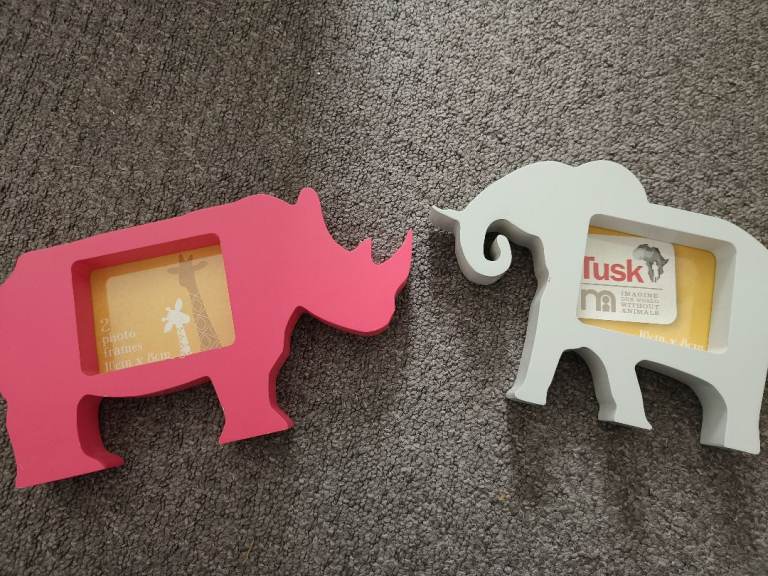 Safari picture frames