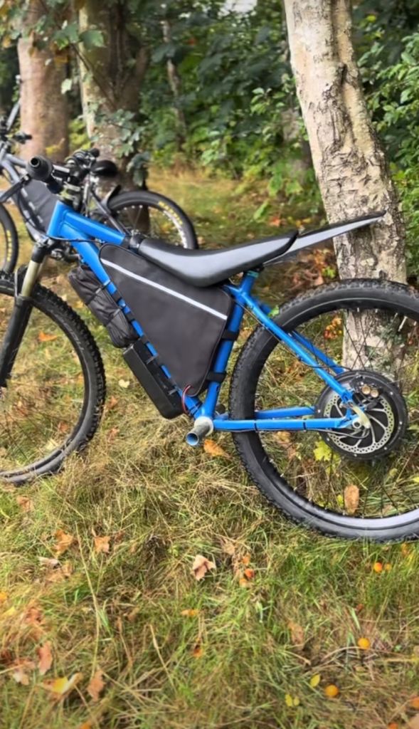 Blue Electric Mountain Bike - E-Bike