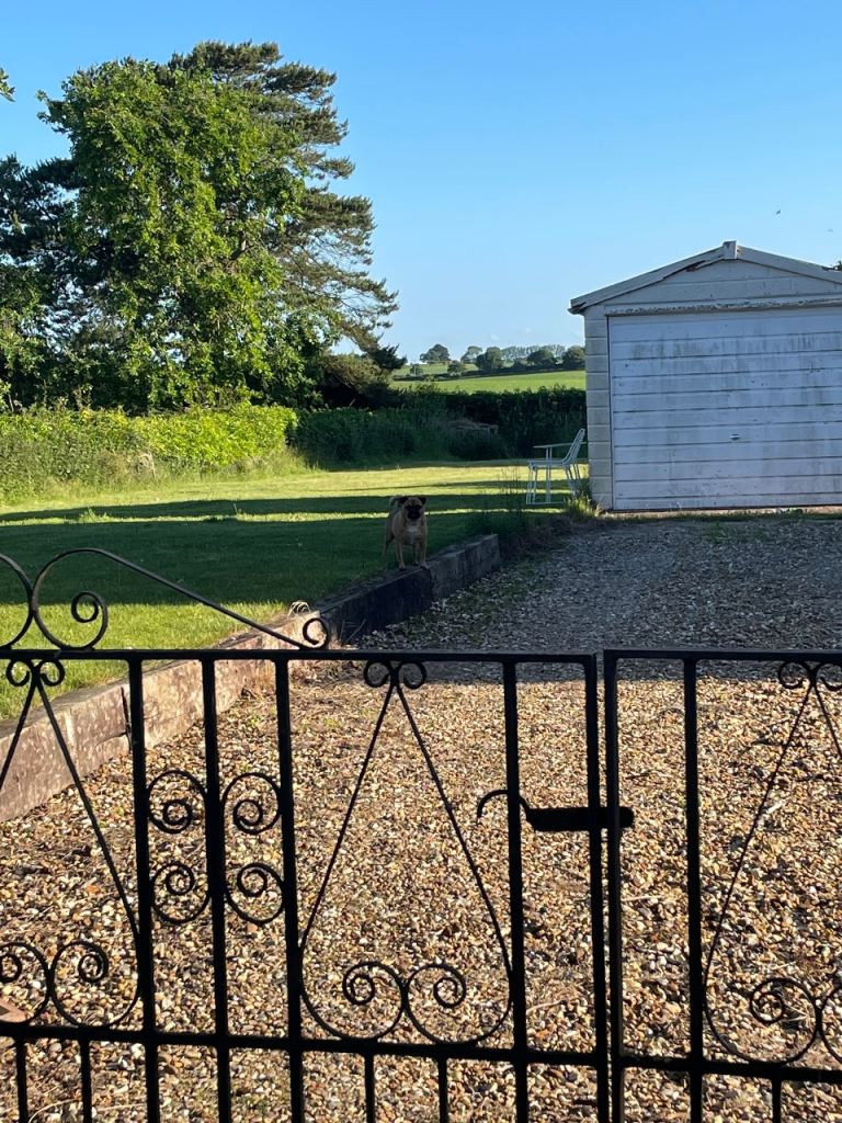 Garden Space To Use