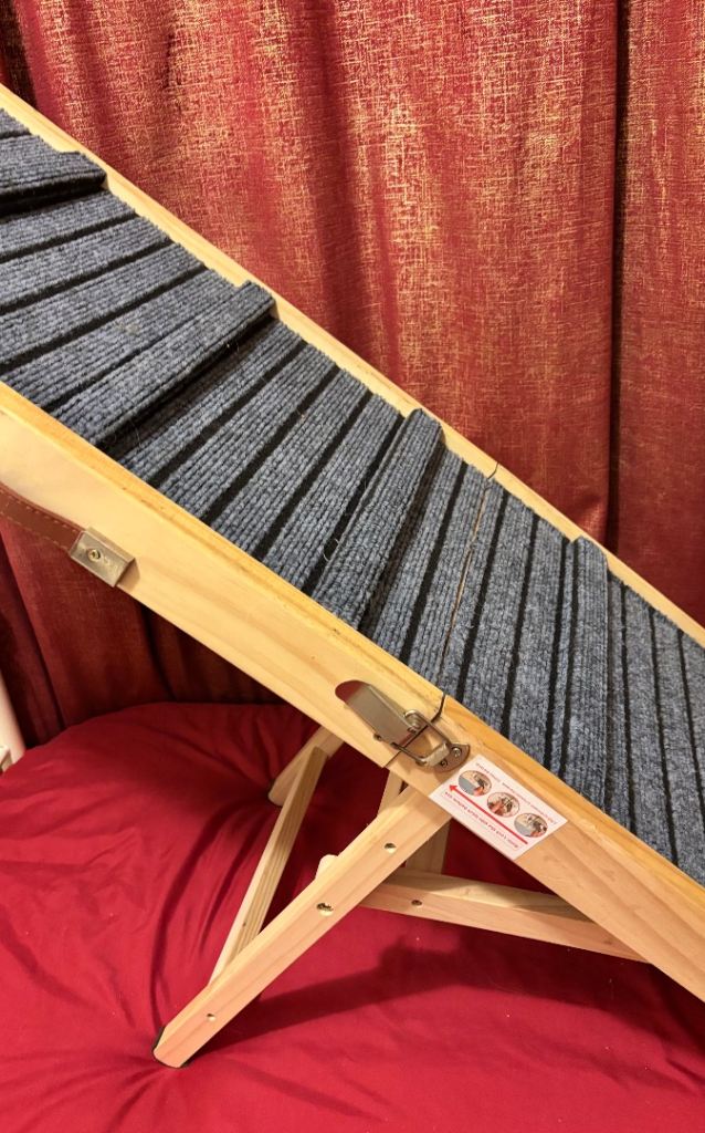 Dog ramp 