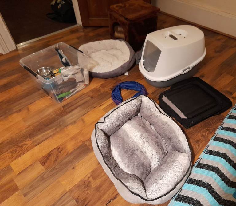 *RESERVED* Free Cat supplies