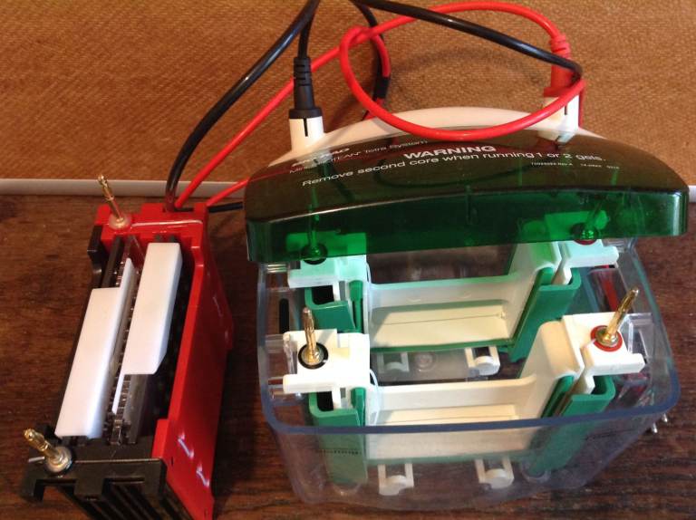 Biorad Mini-PROTEAN Tetra Cell and BIO-RAD Mini Gel Holder Cassette & Blotting Electrode Assembly