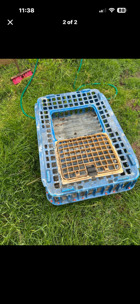 Chicken carrier 