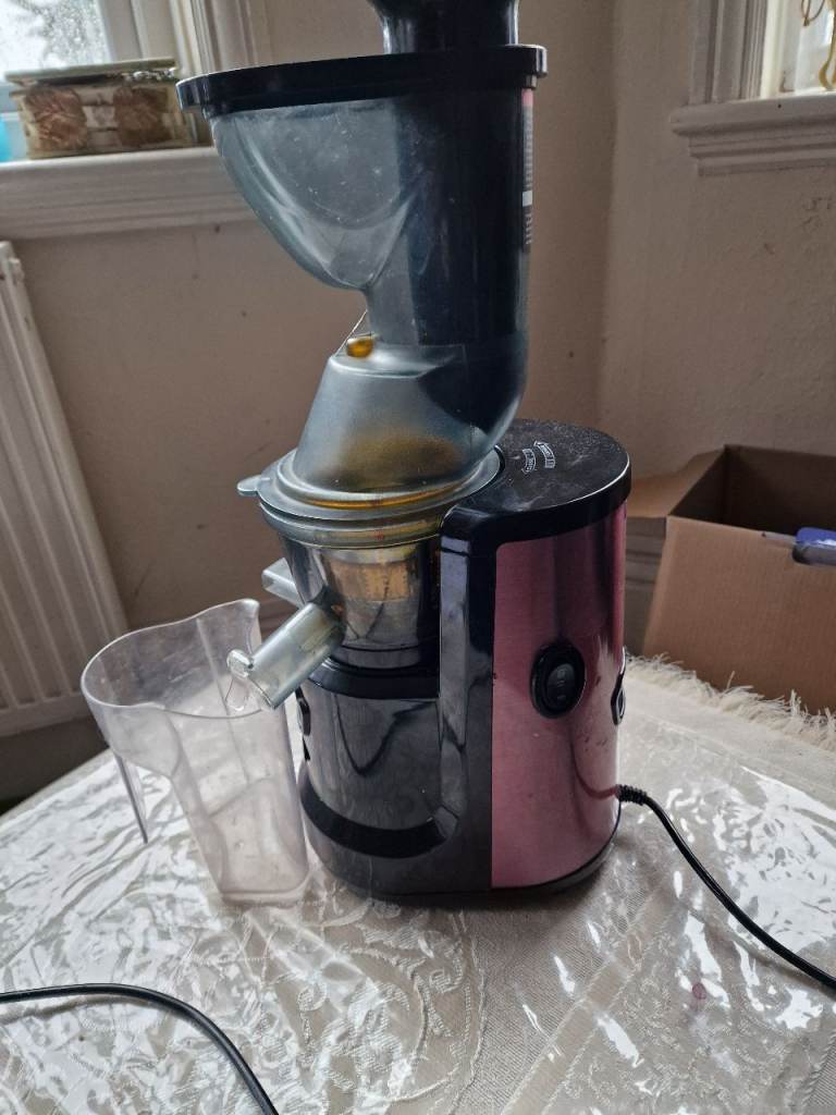 Slow masticating juicer 