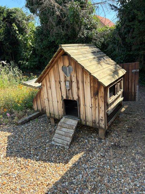 Hen House   - Flyte so Fancy Maggie's Dozen and feeders/drinkers