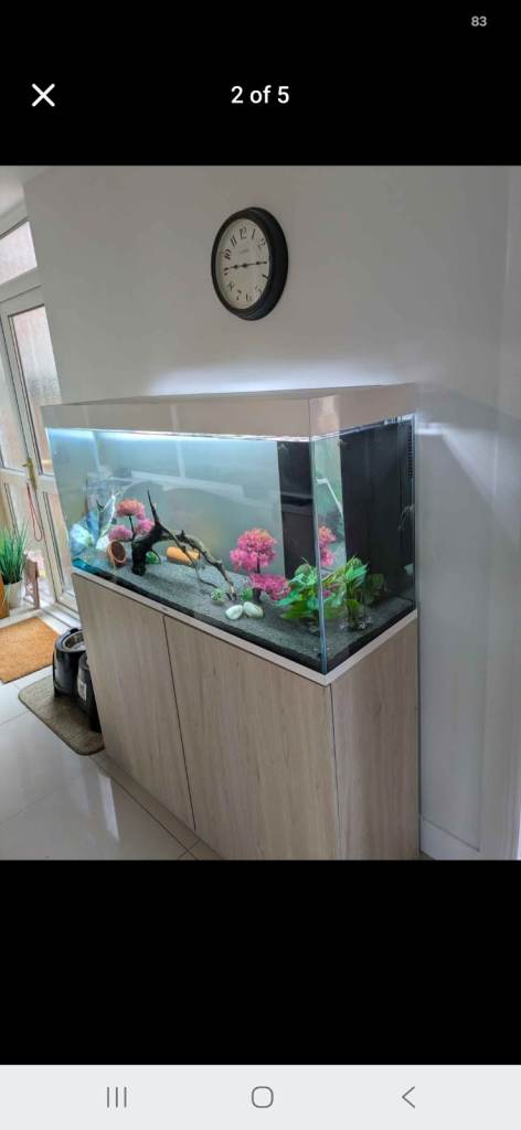 Ciano Emotions Pro 120 Aquarium Set Up - 239 Litre