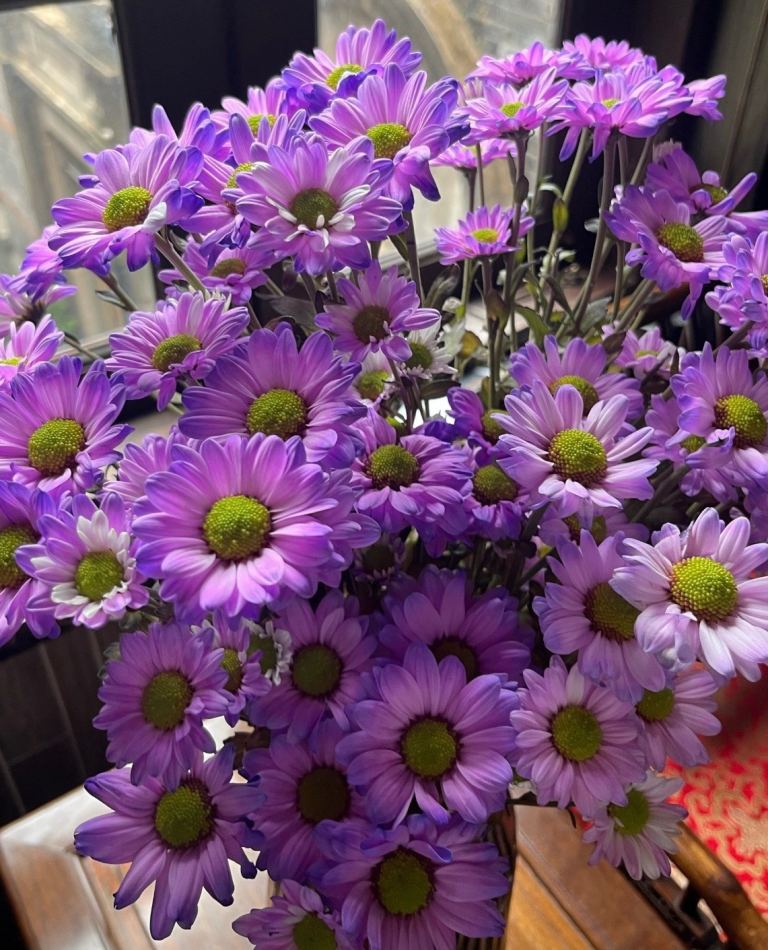 Oriental Annie - Best Chinese Massage 