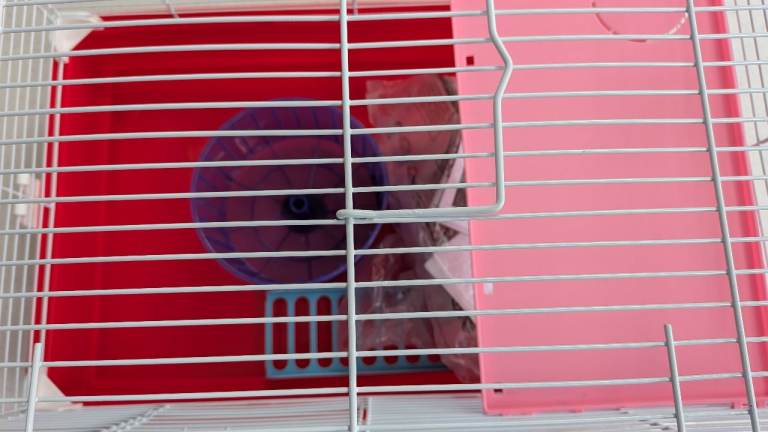 Hamster cage