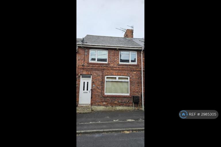 3 bedroom house in Steavenson St, Durham, DH6 (3 bed) (#2985305)