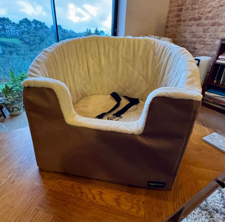 Small Dog Or Puppy Car Safety Seat - Amazon 