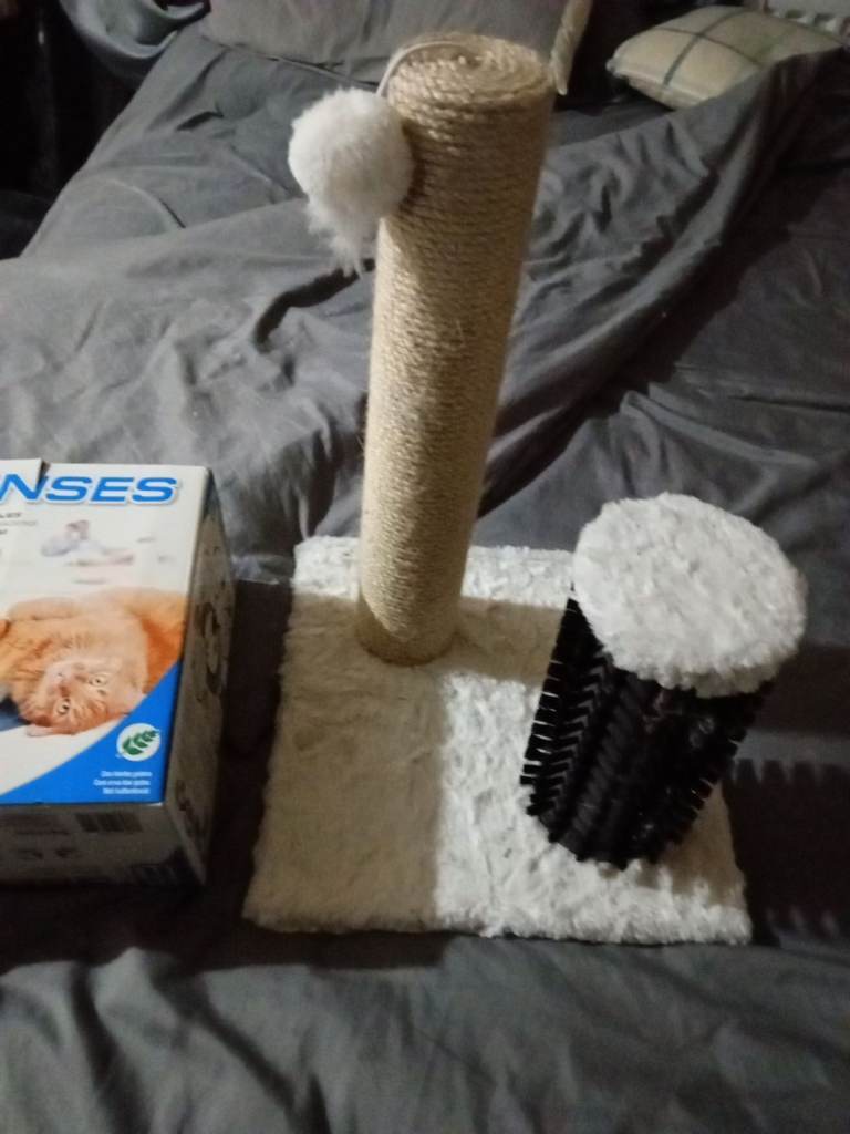 Cat toys 