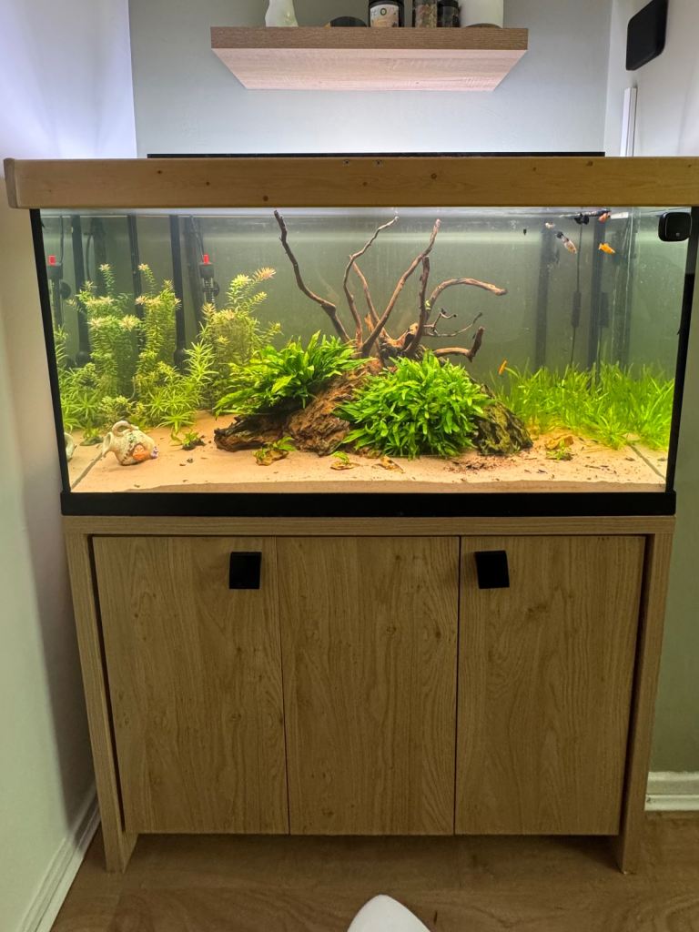 Fluval Roma 200