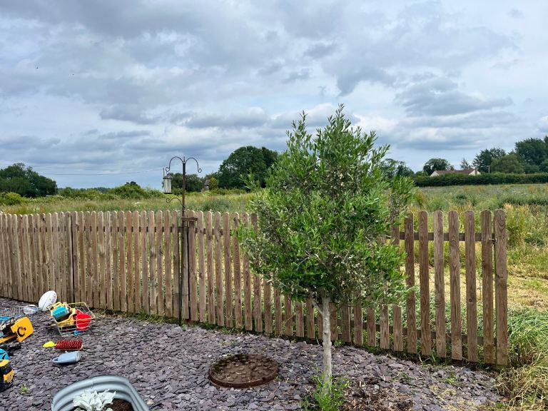 5 x timber fencing panels 