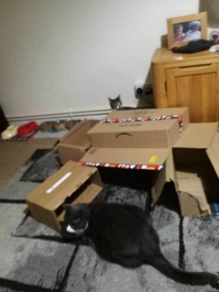 Moving boxes 