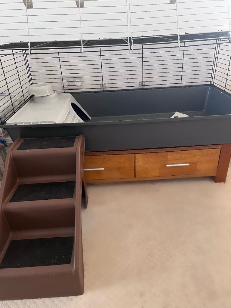 Indoor Rabbit Set Up
