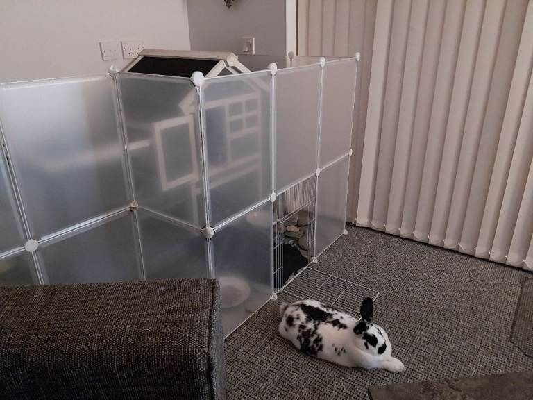 Home Pet Cage 