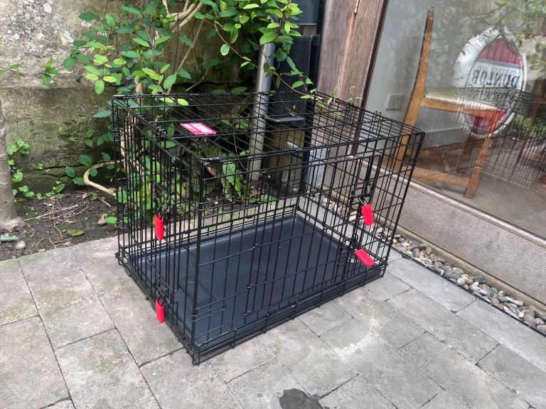 Medium Kong Dog Crate 