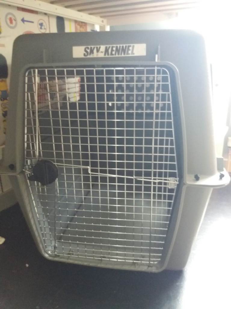 Petmate giant sky kennel