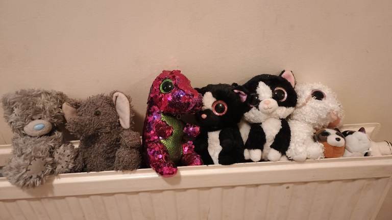 Cute selection of toys beanie babies 